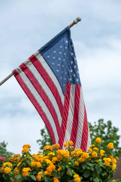 istock Flower pot and flag 1415694920