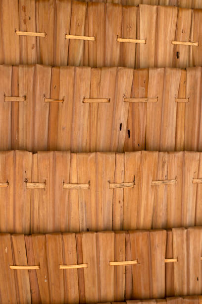 thatched roof. texture The old wooden bamboo roof is connected with ropes and leaves . thatched roof hut straw grass hut stock pictures, royalty-free photos & images
