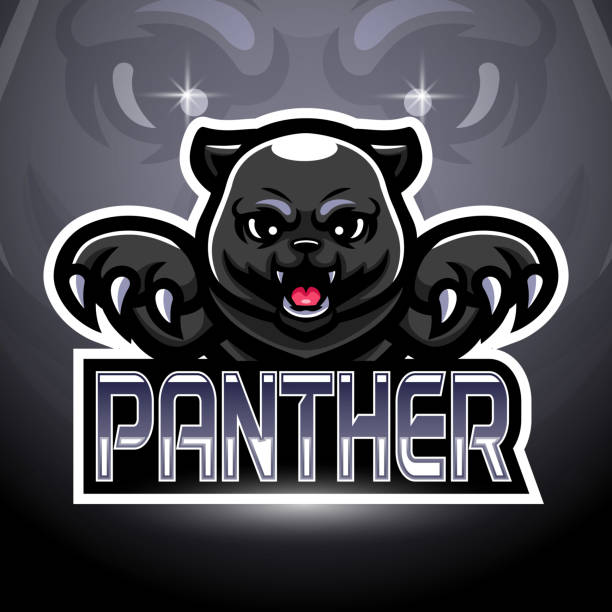 illustrations, cliparts, dessins animés et icônes de panther esport logo mascot design - characters sport animal baseballs