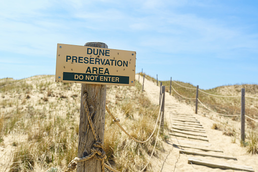 Sand dune hill and stairs go through a dune preservation area located in Michigan's Sleeping Bear Dunes National Lakeshore.