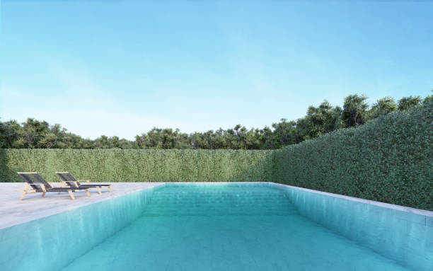 istock Beautiful swimming pool falling around with tall shrubbery, with daybeds on the side. natural atmosphere and have a light sun. 3D illustration 1415701492