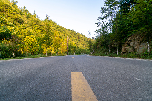 Asphalt roads in rural forests
