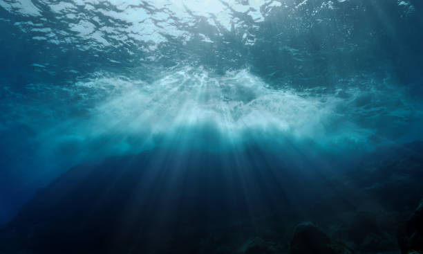 istock Waves, Vortex and foam underwater at a reef 1415709425