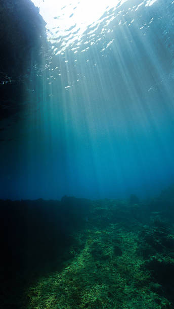 istock Rays of light over a underwater landscape 1415709426