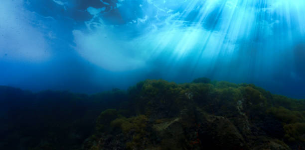 istock Rays of light over a coral reef 1415709436