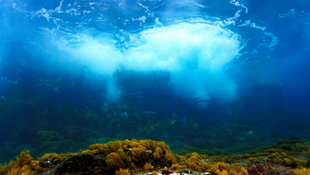 istock Rays of light over a coral reef 1415709449
