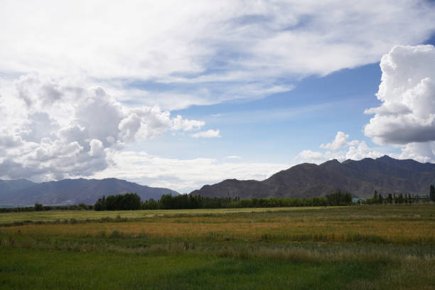 istock Beautiful wheat fields and mountains in Tibet, China 1415709611