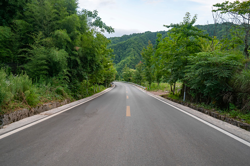 Asphalt roads in rural forests