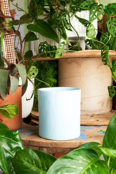 istock White clay pot for plants on a wooden table 1415711971