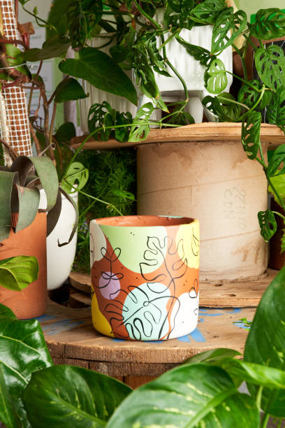 istock Colorful clay pot for plants on a wooden table 1415712185