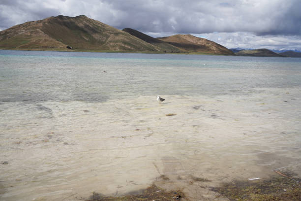istock Lake scenery in Tibet, China 1415712577