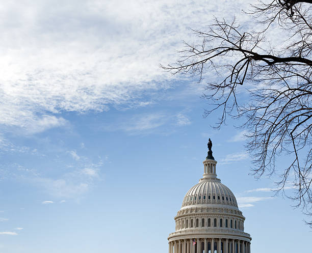 istock Dome of Capitol Washington DC with sky 141571449