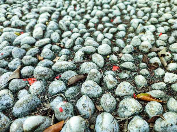 istock Smooth Round Pebbles Small Rocks on The Ground 1415715334