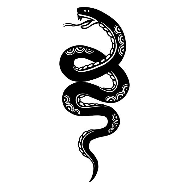 istock Illustration of snake in tattoo style. Design element for poster, card, t shirt. Vector illustration 1415720171