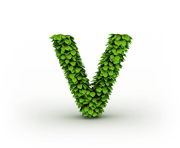 istock Letter V, alphabet of green leaves 141572113