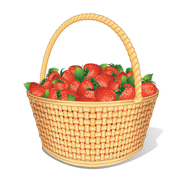 Strawberry Basket Wicker Basket Full of Juicy Strawberries. chandler strawberry stock illustrations