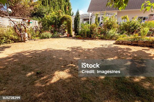 istock lawn in garden dry and dead. Pests and disease and sun cause amount of damage to green lawns. Landscaped Formal Garden. 1415728299
