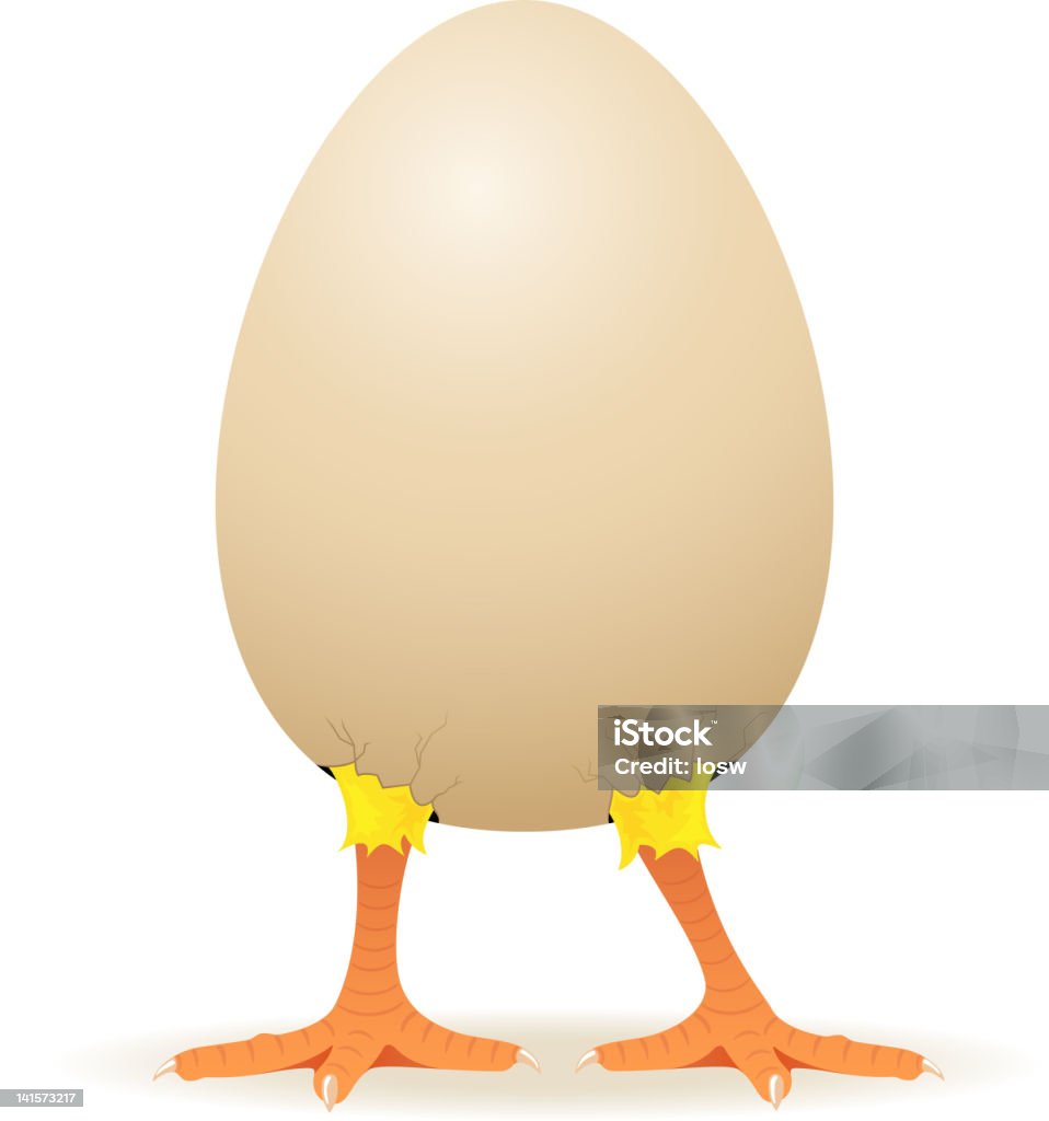 Poulet dans un œuf - clipart vectoriel de Oeuf - Étape de fécondation animale libre de droits