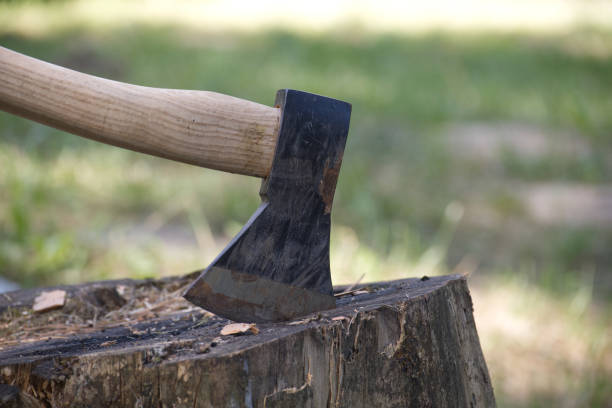 Chopper or axe standing upright in a tree stump stock photo