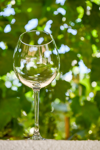 Empty wine glass, with the background of the vineyard.