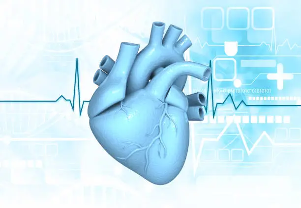Photo of Human heart anatomy on medical background