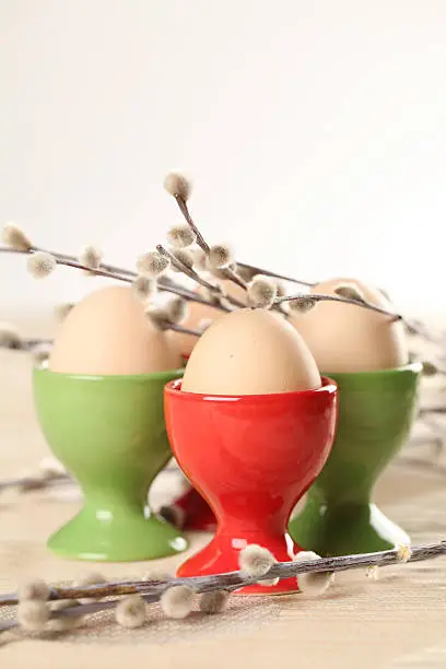 Eggs in red and green eggcups with catkins. 