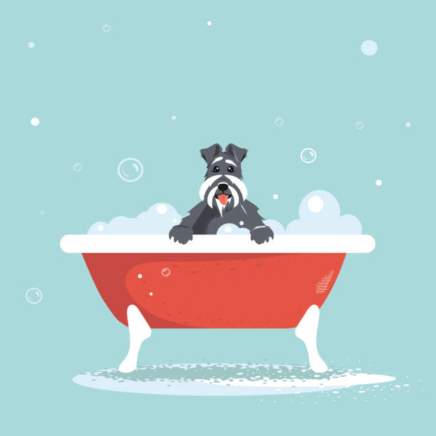 ilustrações de stock, clip art, desenhos animados e ícones de cartoon dog taking a bath with soap foam. - dog bathtub washing puppy
