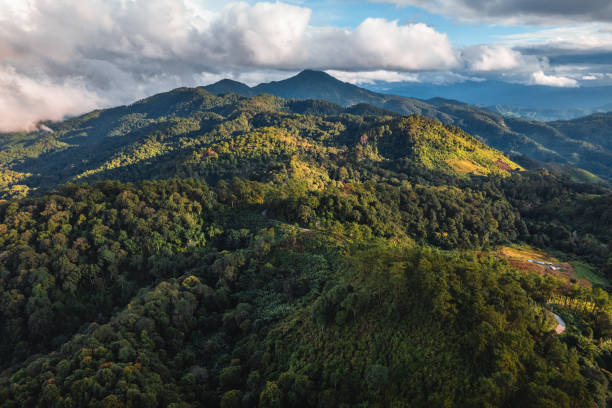 istock landscape view on high green hill 1415750473