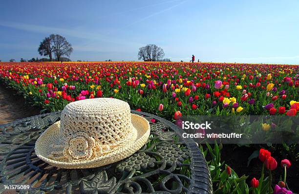 De Malha Chapéu De Palha E Flores - Fotografias de stock e mais imagens de Acessório - Acessório, Agricultura, Ajardinado