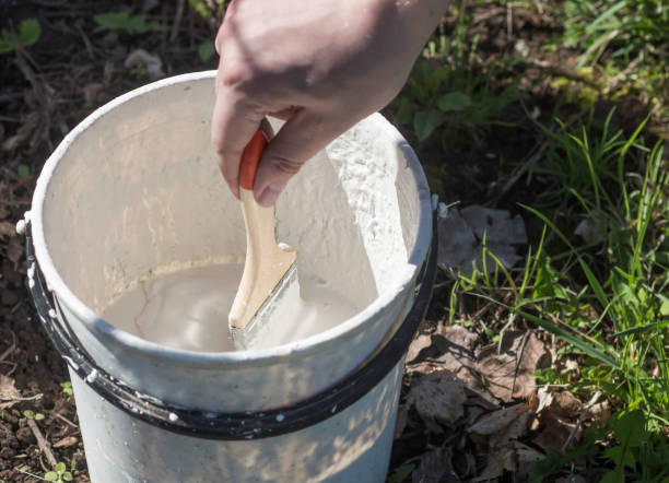 istock bucket with whitewash for bleaching tree trunks from insects 1415757201
