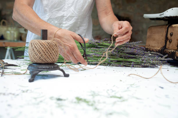 istock Woman making bunches from her lavender harvest 1415759624
