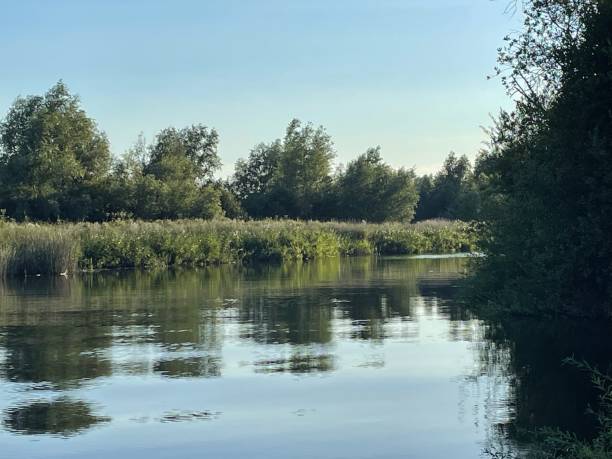 istock Boat trip on the broads Suffolk 1415759713