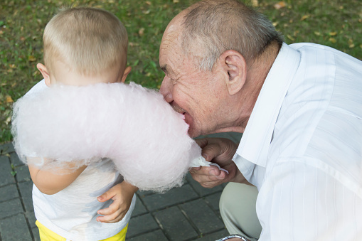 An elderly man with his mouth wide open greedily bites cotton candy. The grandson is eating cotton candy next to his grandfather..