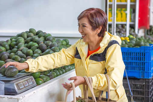 tourist woman shopping  avocados at a local market