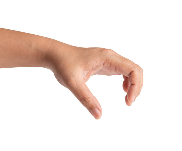 istock Woman's hand holding something on white background 1415763930