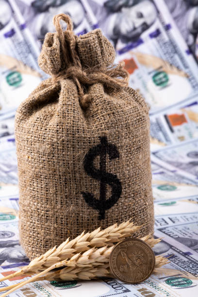 istock Conceptual photo about wheat pricing policy 1415764226