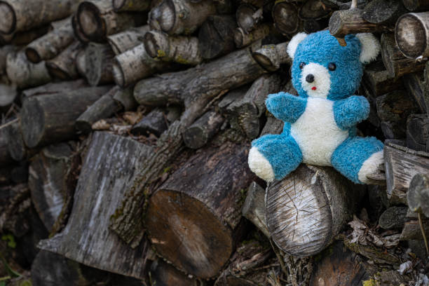 istock a teddy bear in blue sits near firewood on a farm 1415765410