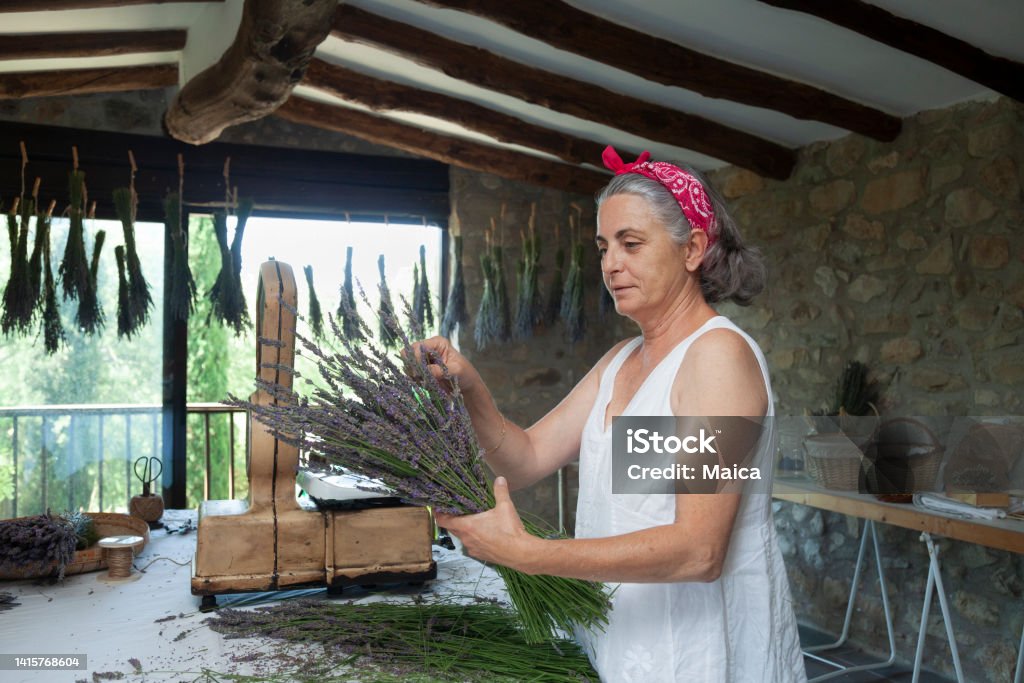 Woman preparing bunches in her small business Drying Stock Photo