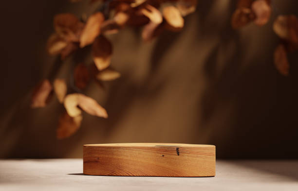 3D background, wood pedestal podium on natural dry autumn leaf shadow beige backdrop. Fall product promotion Beauty cosmetics wooden display. Nude Studio Minimal showcase 3D render advertisement.