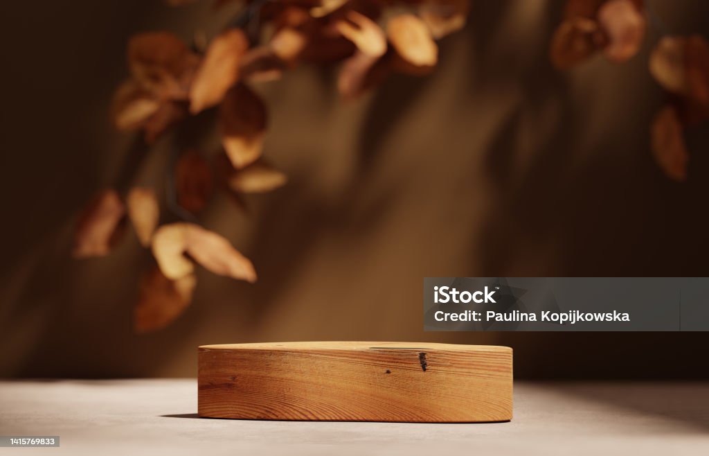 3D background, wood pedestal podium on natural dry autumn leaf shadow beige backdrop. Fall product promotion Beauty cosmetics wooden display. Nude Studio Minimal showcase 3D render advertisement. Social media background with podium display  for product placement Autumn Stock Photo