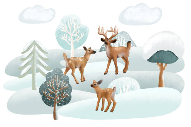 istock Illustration of deers in winter forest landscape, forest cute characters illustration on white background 1415771577