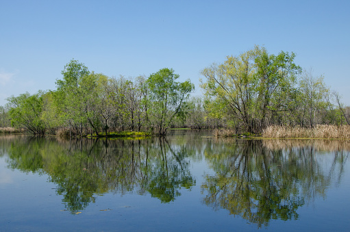 Trees sprouting new leaves on small islands scattered throughout a large wetland area while the blue sky of a clear spring day is reflected on still water.