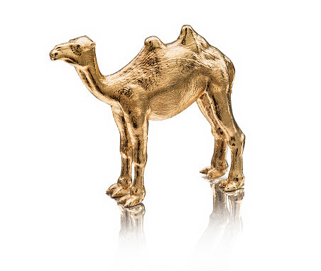 golden camel isolated on white background.