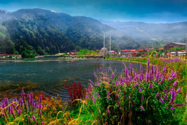 Mountain village of Uzungol in Trabzon, Turkey. (Long Lake)