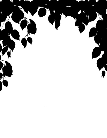 A simple frame style leaf border element on a transparent background.