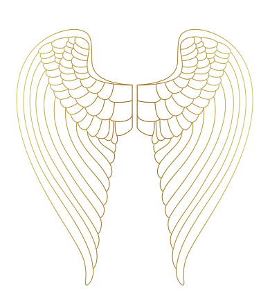 A simple angel wing style design element on a transparent background.