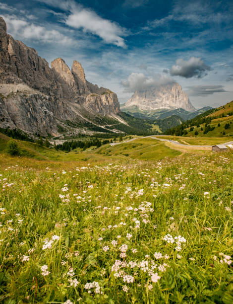 Beautiful view from Passo Gardena, Dolomites, Italy stock photo