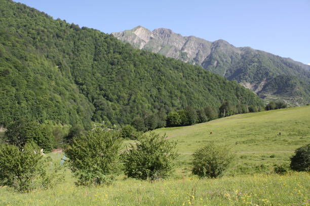 istock Spring landscape of the Caucasus Mountains 1415784067