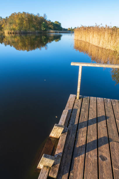 istock Bathing jetty with a ladder into the water 1415784082