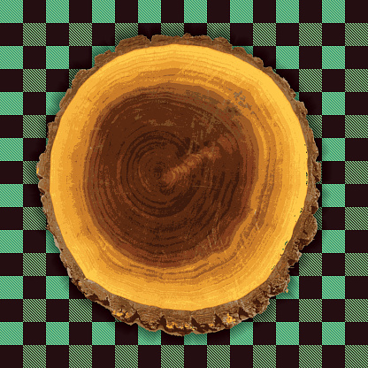 A cross section slice of a log viewed from above on a plaid background.